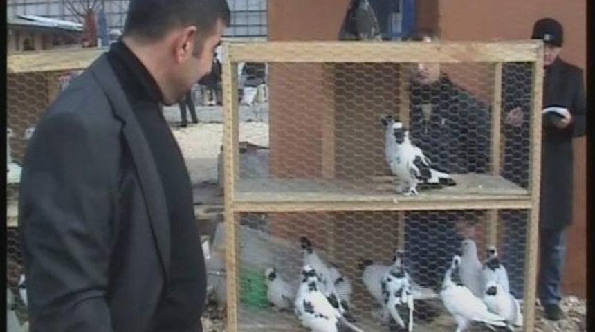 G&uuml;vercin Severler Yeni Mekanına Kavuştu