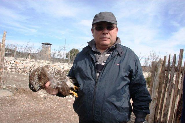 Lisinia 8&lsquo;inci Yılını Kuş Salarak Kutladı 1