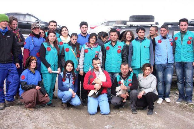Lisinia 8&lsquo;inci Yılını Kuş Salarak Kutladı 2