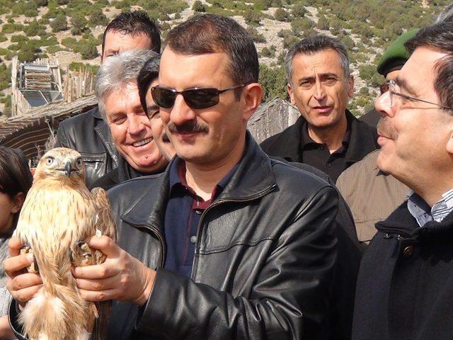 Lisinia 8&lsquo;inci Yılını Kuş Salarak Kutladı 3