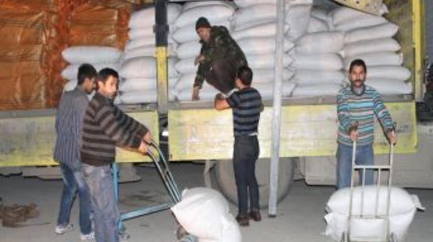Erzincan&rsquo;da 10 Ton Ka&ccedil;ak Badem I&ccedil;i Ele Ge&ccedil;irildi