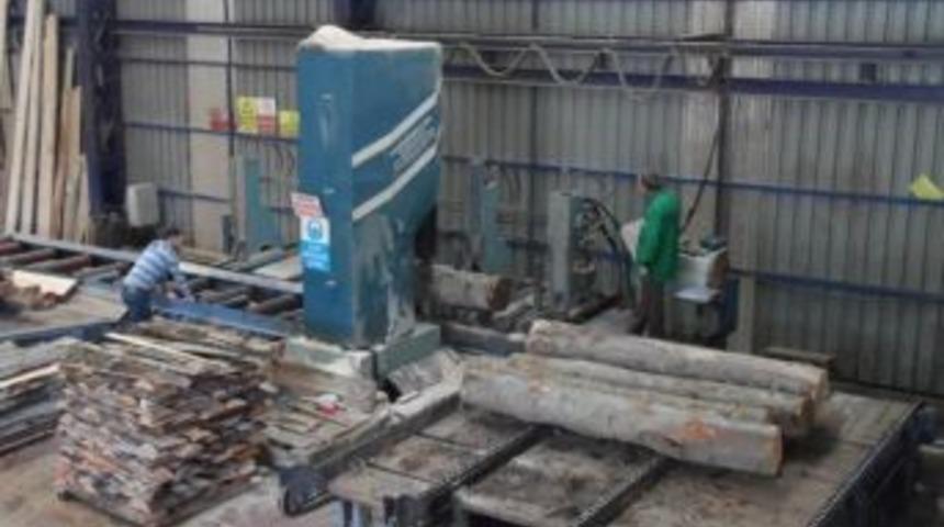 Orman &uuml;r&uuml;nlerini yurdun her b&ouml;lgesine g&ouml;nderiyorlar