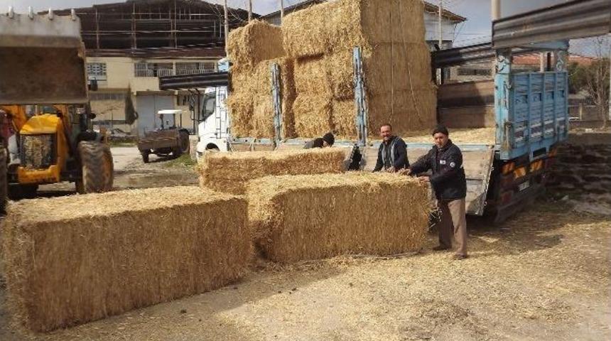 Kula'da &Ccedil;ift&ccedil;ilere Saman Desteği