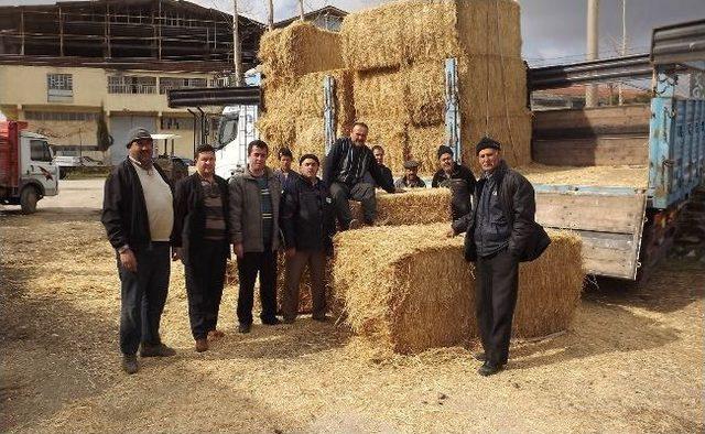 Kula da &Ccedil;ift&ccedil;ilere Saman Desteği 2