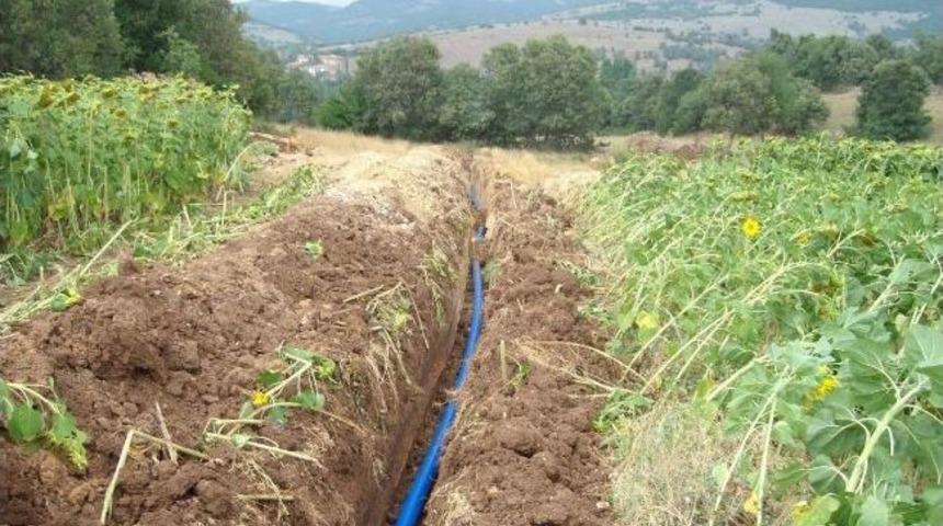 Yağmurlama Sulama Sistemiyle Su Ve Toprak Kayıpları En Aza İndirildi