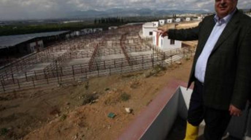 Canlı Hayvan Ticaret Merkezinde Son Aşamaya Gelindi