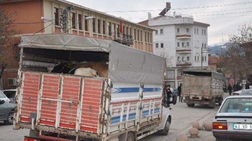 Emet'te H&uuml;k&uuml;met Binası 'hayvan Pazarı' Gibi