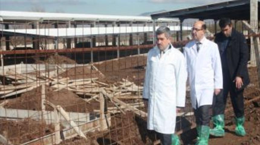 İl Sağlık M&uuml;d&uuml;r&uuml;: Elazığ&rsquo;da S&uuml;t Inek&ccedil;iliğinin Gelişmesi I&ccedil;in Desteğe Ihtiya&ccedil; Var