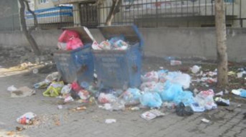 Kars Kağızman'da 'da &ccedil;&ouml;pler d&uuml;zenli toplanılmıyor