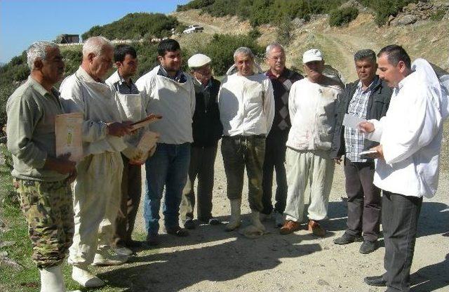 Aydınlı Arıcılara Arı Hijyeni Ve Arı Biti Konusunda Konferans Verilecek