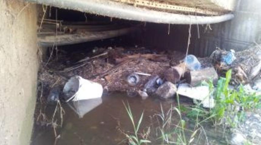 K&uuml;&ccedil;&uuml;k Emine&rsquo;nin &Ouml;ld&uuml;ğ&uuml; Yol, Ka&ccedil;ak &Ccedil;ıktı