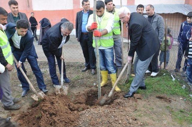 Siirt Belediyesi'nden Ağaç Dikim Çalışmaları