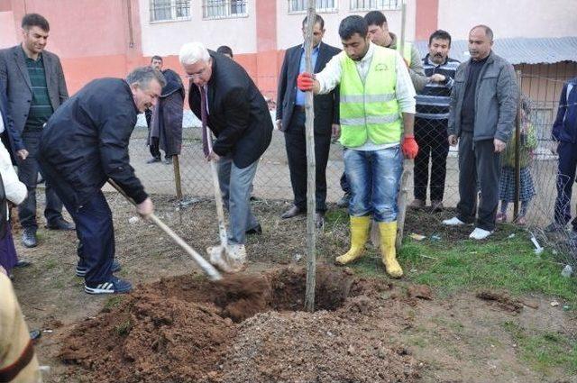 Siirt Belediyesi'nden Ağaç Dikim Çalışmaları