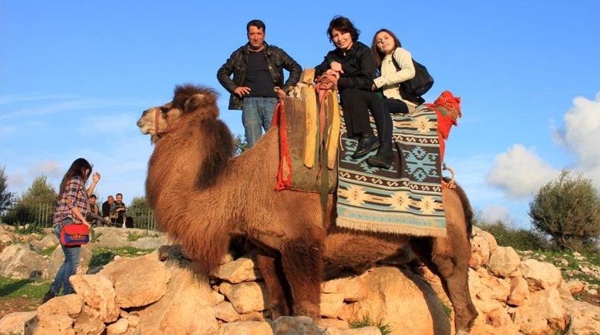 Deve Turlarına B&uuml;y&uuml;k Ilgi