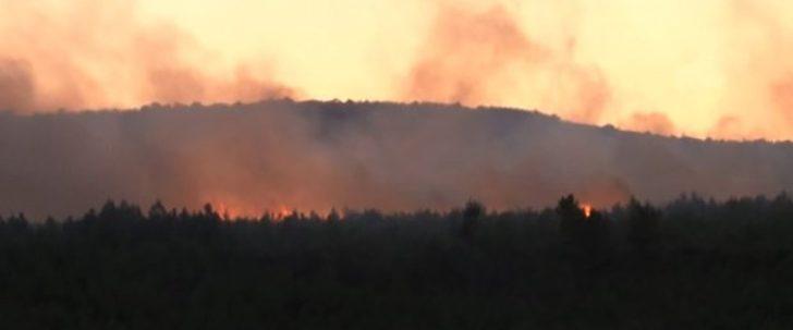 İzmir'de orman yangını! İtfaiye alarma geçti