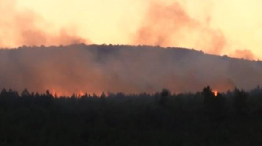 İzmir'de orman yangını! İtfaiye alarma geçti