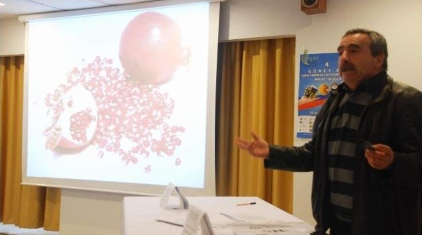 Ortacalı &Ccedil;ift&ccedil;ilere &ldquo;arının Narenciyedeki &Ouml;nemi&rdquo; Anlatıldı