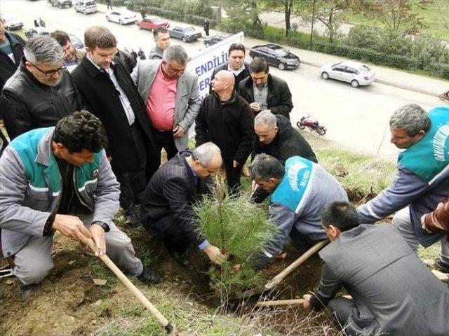 Selendililer Derneği 500 Fidan Dikti