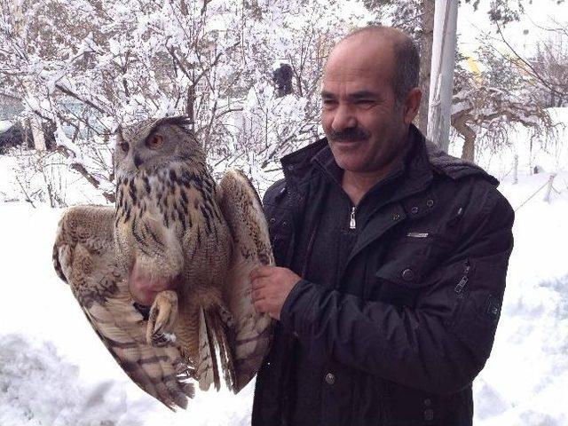 Satılmak Üzereyken Bulunan Yaralı Puhuya El Konuldu