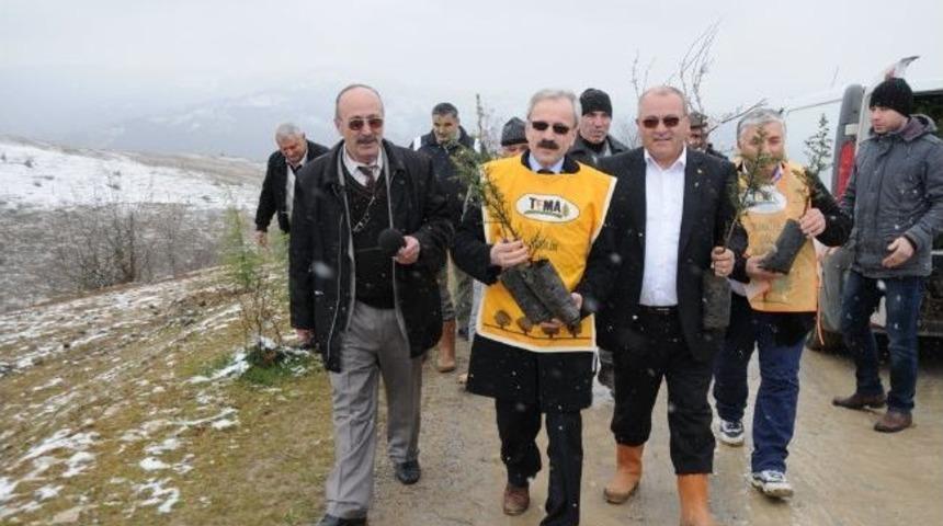 Ağcakise K&ouml;y&uuml;nde Fidan Dikme Etkinliği