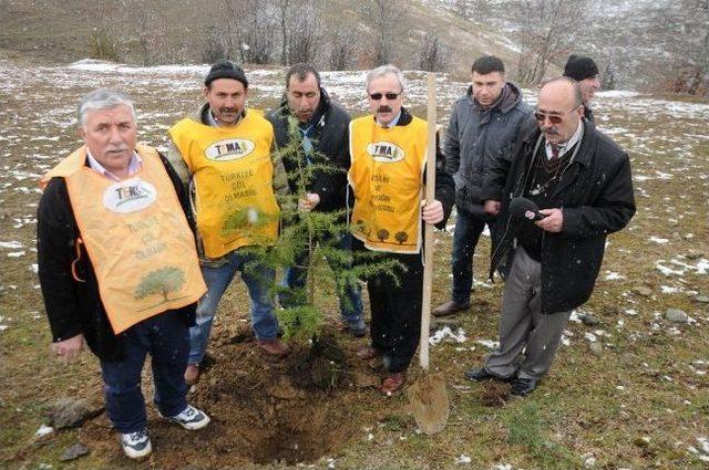 Ağcakise Köyünde Fidan Dikme Etkinliği