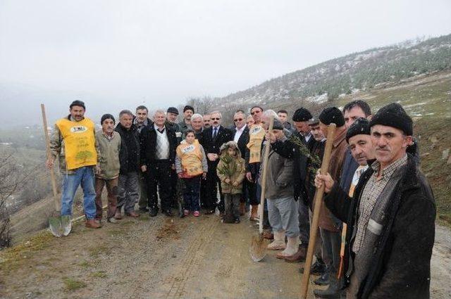 Ağcakise Köyünde Fidan Dikme Etkinliği