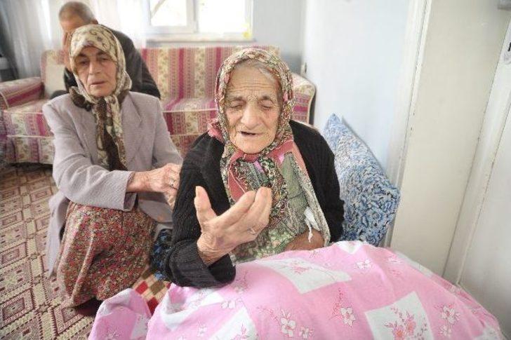 Asırlık çınara gelin dayağı iddiası G1