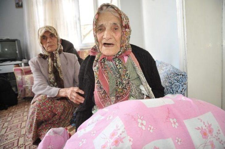 Asırlık çınara gelin dayağı iddiası G2