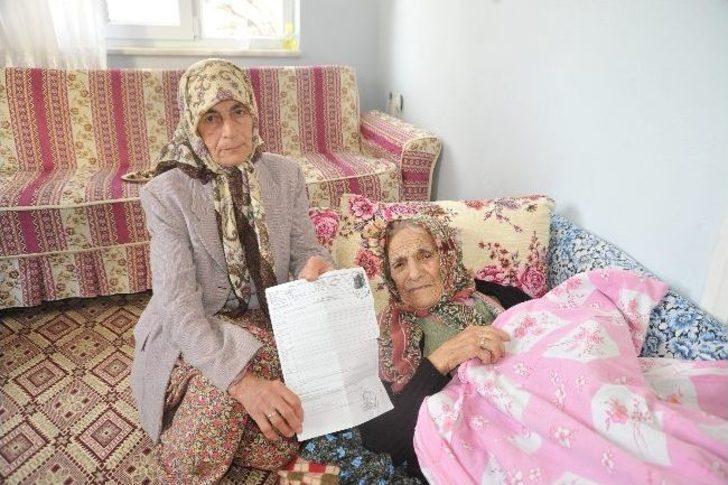 Asırlık çınara gelin dayağı iddiası G3