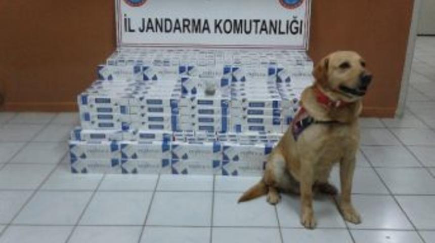 Jandarma G&uuml;mr&uuml;k Ka&ccedil;ağı Sigara Ve Kubar Esrar Ele Ge&ccedil;irdi