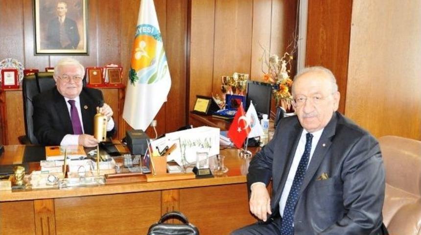 Tariş&rsquo;ten Yeni Altın Serisi Edremit Yağları