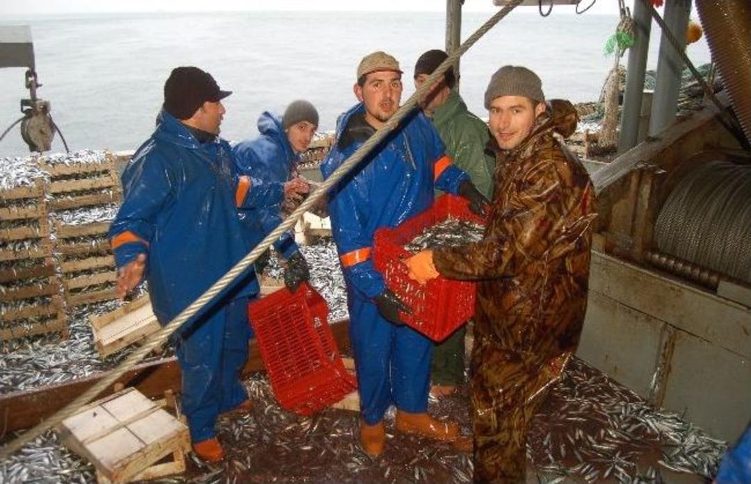 &Ccedil;anakkale Boğazı'nda Sardalya Bereketi