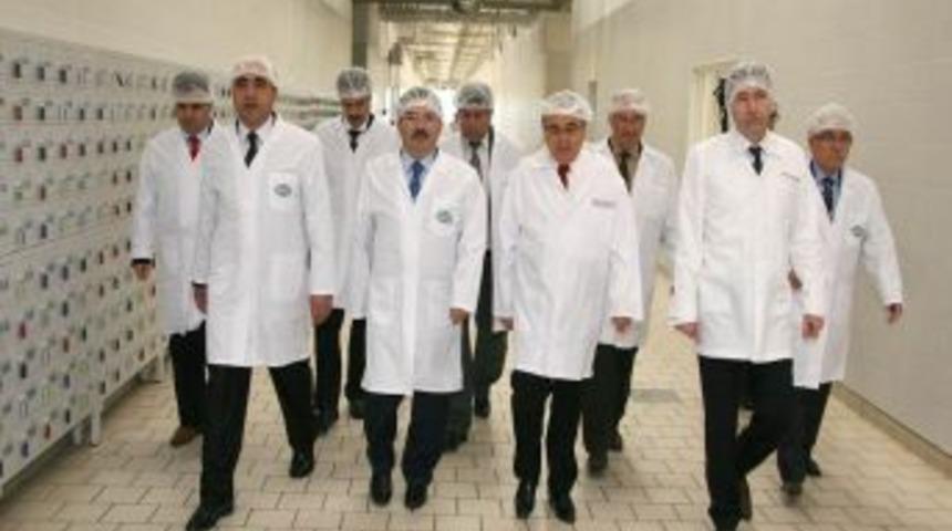 OSB Y&ouml;netimi S&uuml;taş'ta Incelemelerde Bulundu