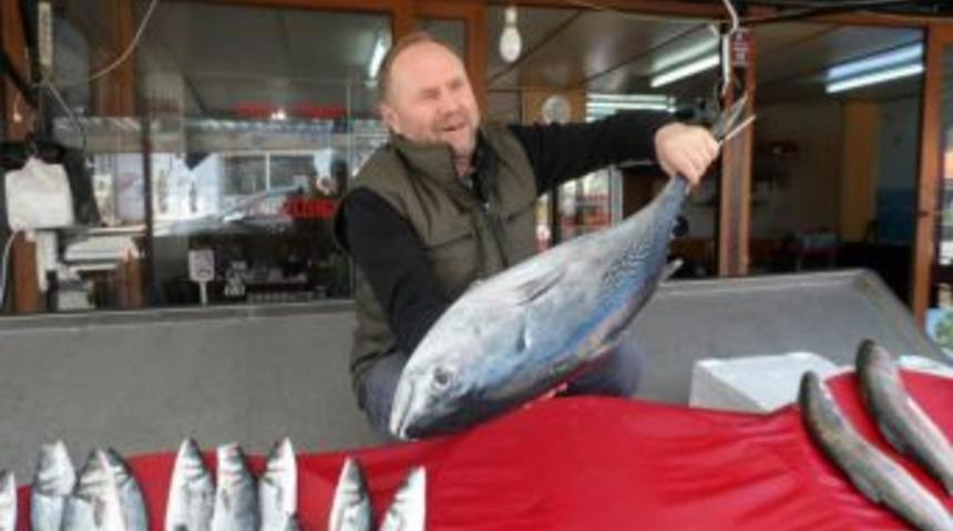 Torik balığı yakaladılar