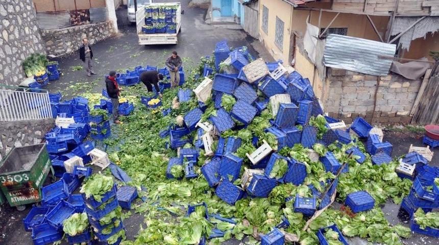 Kamyon Şarampole Yuvarlandı, S&uuml;r&uuml;c&uuml; Kazadan Hafif Sıyrıklarla Kurtuldu