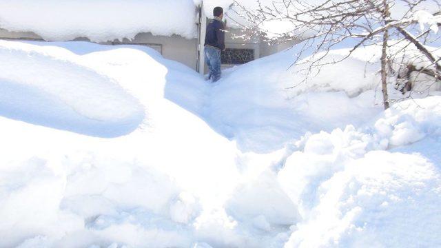 Bakar Mısınız, Burası Benim Evim Mi Acaba?