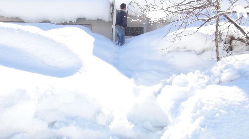 Bakar Mısınız, Burası Benim Evim Mi Acaba?