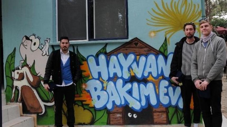 Havyan Bakımevi Grafiti İle Renklendi