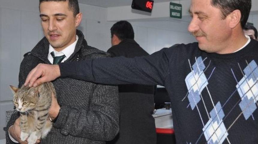 Halk Otob&uuml;s&uuml;nde Kedi Unuttular