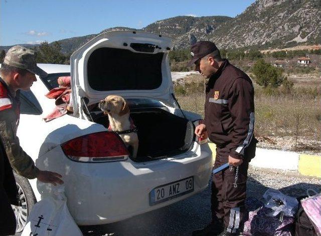 Muğla Jandarmasından Hem Eğitim Hem De Uygulama