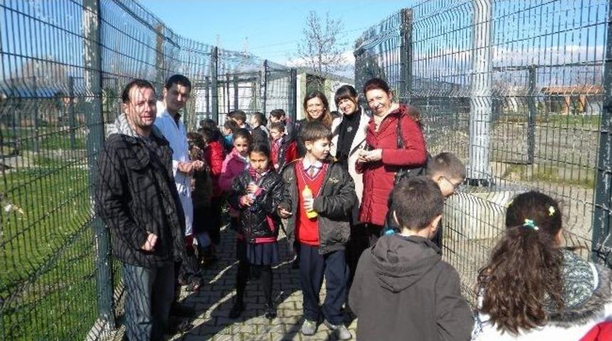 &Ouml;ğrencilerden Havyan Barınağı'na Ziyaret