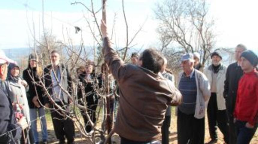 Kahramanmaraş’ta Çiftçilere Budama Eğitimi Verildi