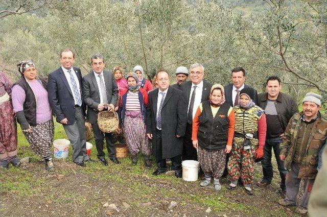 Chp Genel Başkan Yardımcısı Gökhan Günaydın Küçükkuyu’da