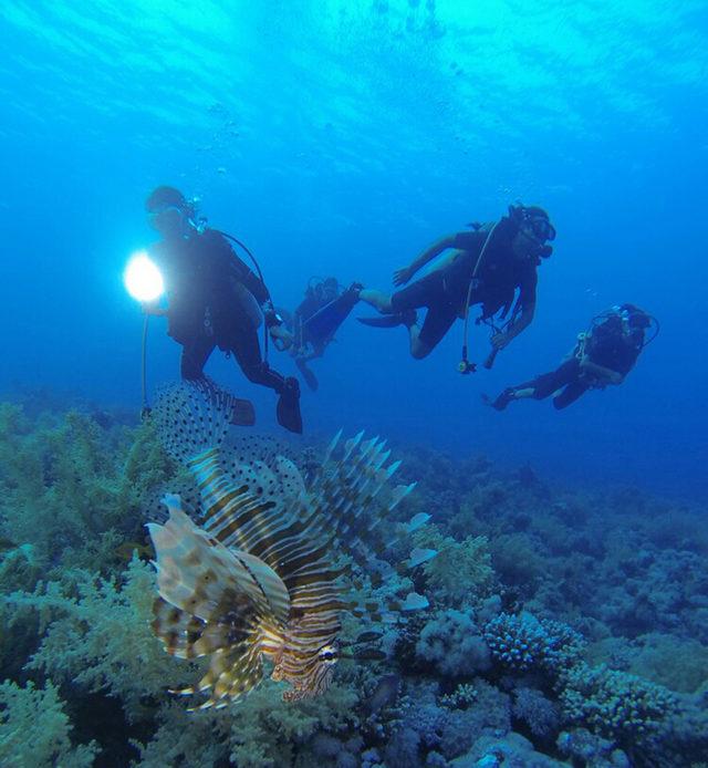 Antalya nın sualtı zenginlikleri dalış tutkunlarını bekliyor 2