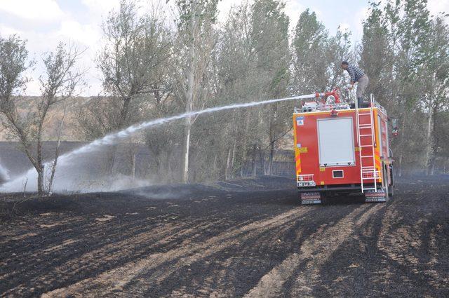 Yozgat'da hububat ekili tarlada yangın