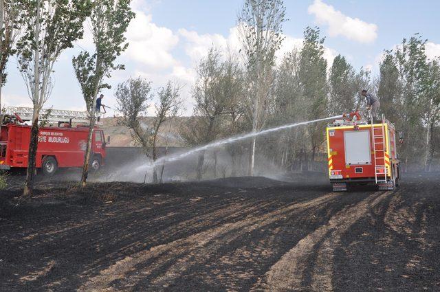 Yozgat'da hububat ekili tarlada yangın