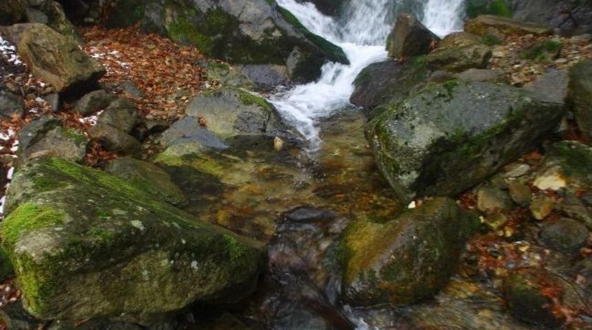 Uludağ&rsquo;ın Sularında K&ouml;p&uuml;kl&uuml; Kirlilik Tehlikesi...(&ouml;zel Haber)