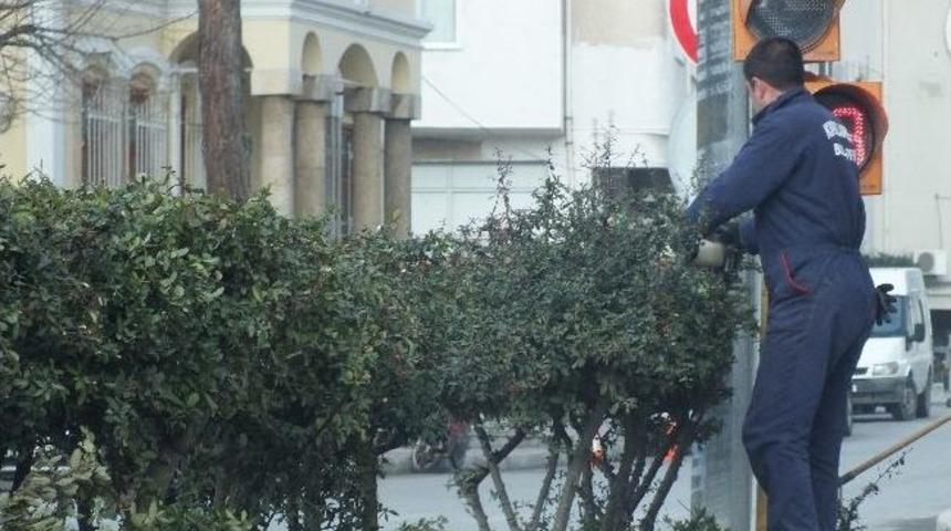 &Ccedil;evre D&uuml;zenlemesi Devam Ediyor