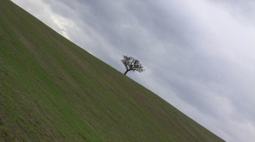 Yağmur, Hububat &Uuml;reticisine &Uuml;mit Verdi