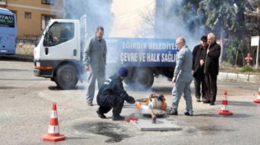 Sivrisinekle M&uuml;cadele Başladı